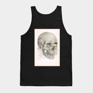 Human Skull, 19th Century illustration Tank Top